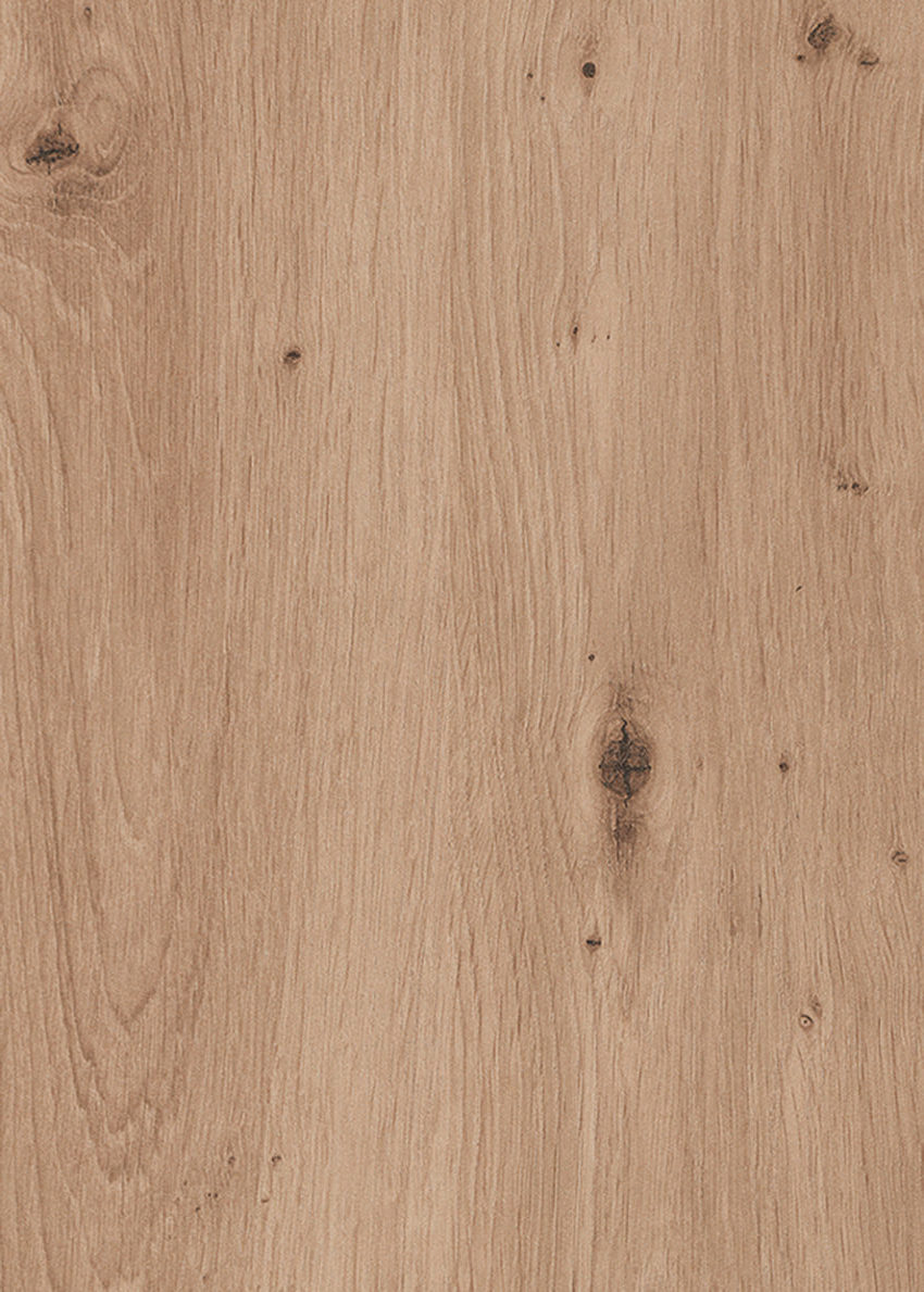 K032 Wildeiche natur Nachbildung